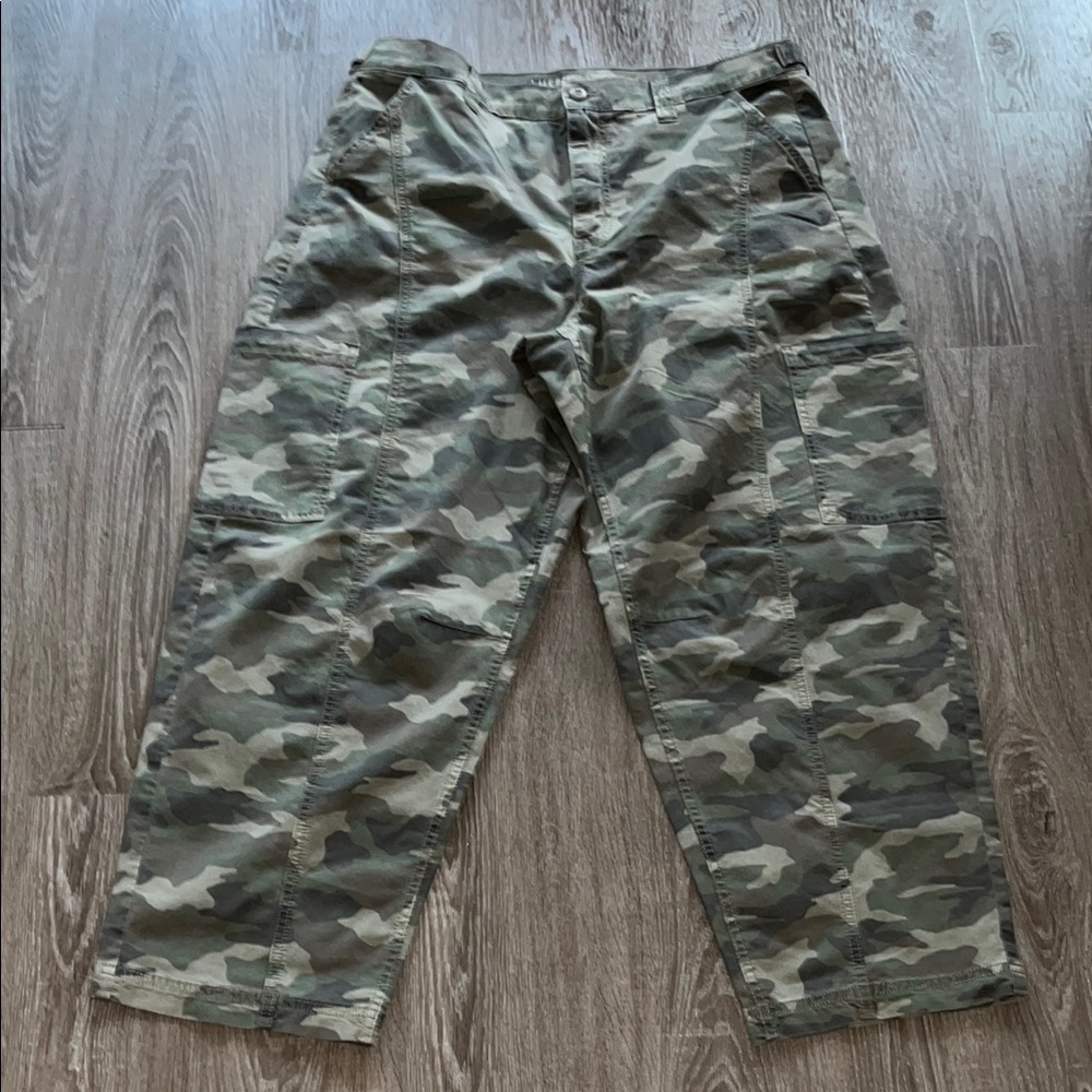 AE Stretch Barrel Cargo Pants - Women’s Size 14